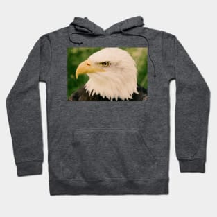 Bald Eagle (Vintage) Hoodie